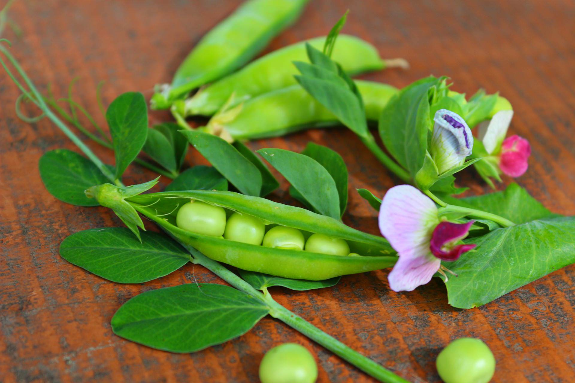 Peas and Lentils